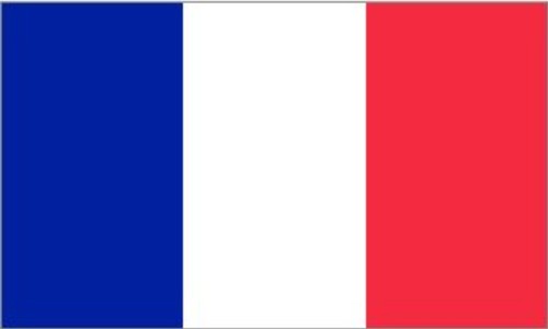 Frankreich flagge fan - flagge, artikel